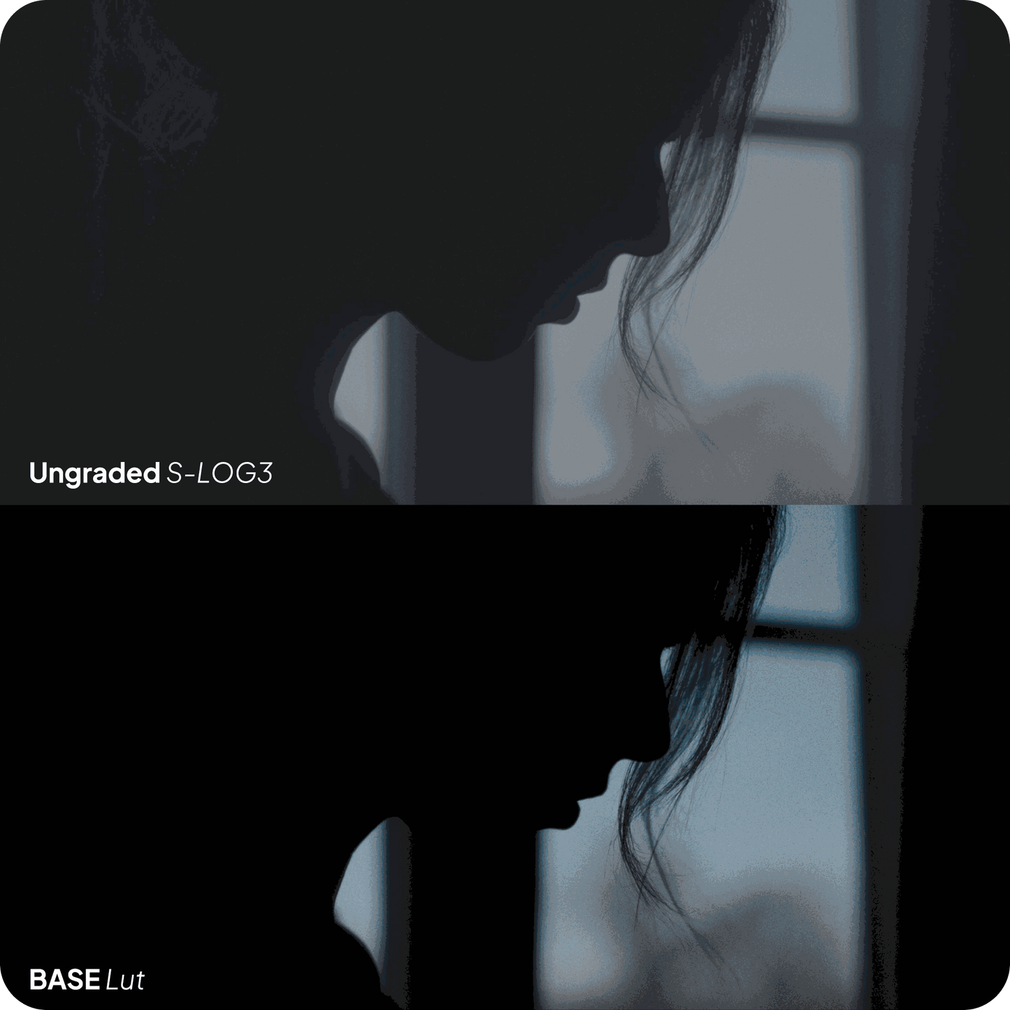 Base Lut by LOGRO strapnstyles