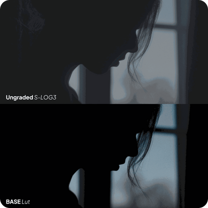 Base Lut by LOGRO strapnstyles