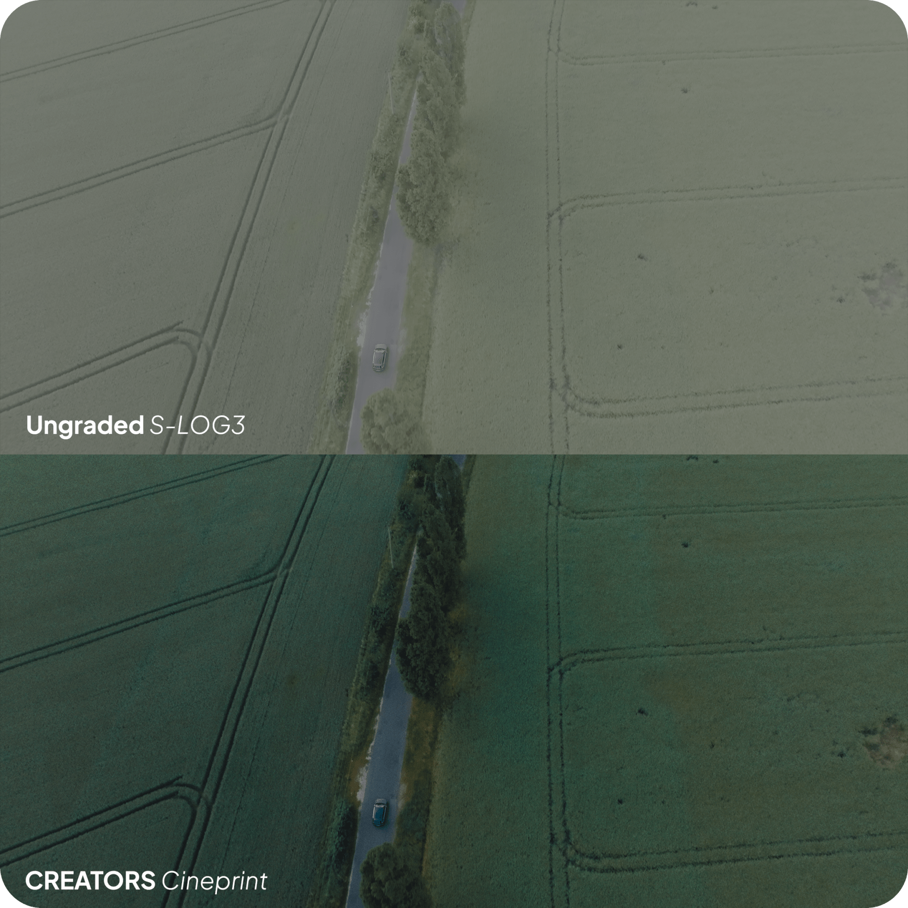 Creators CinePrint Powergrade by LOGRO (+LUTs) - strapnstyles