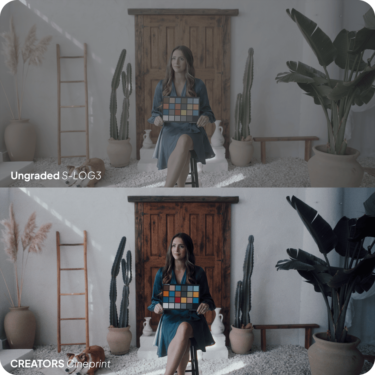 Creators CinePrint Powergrade by LOGRO (+LUTs) - strapnstyles