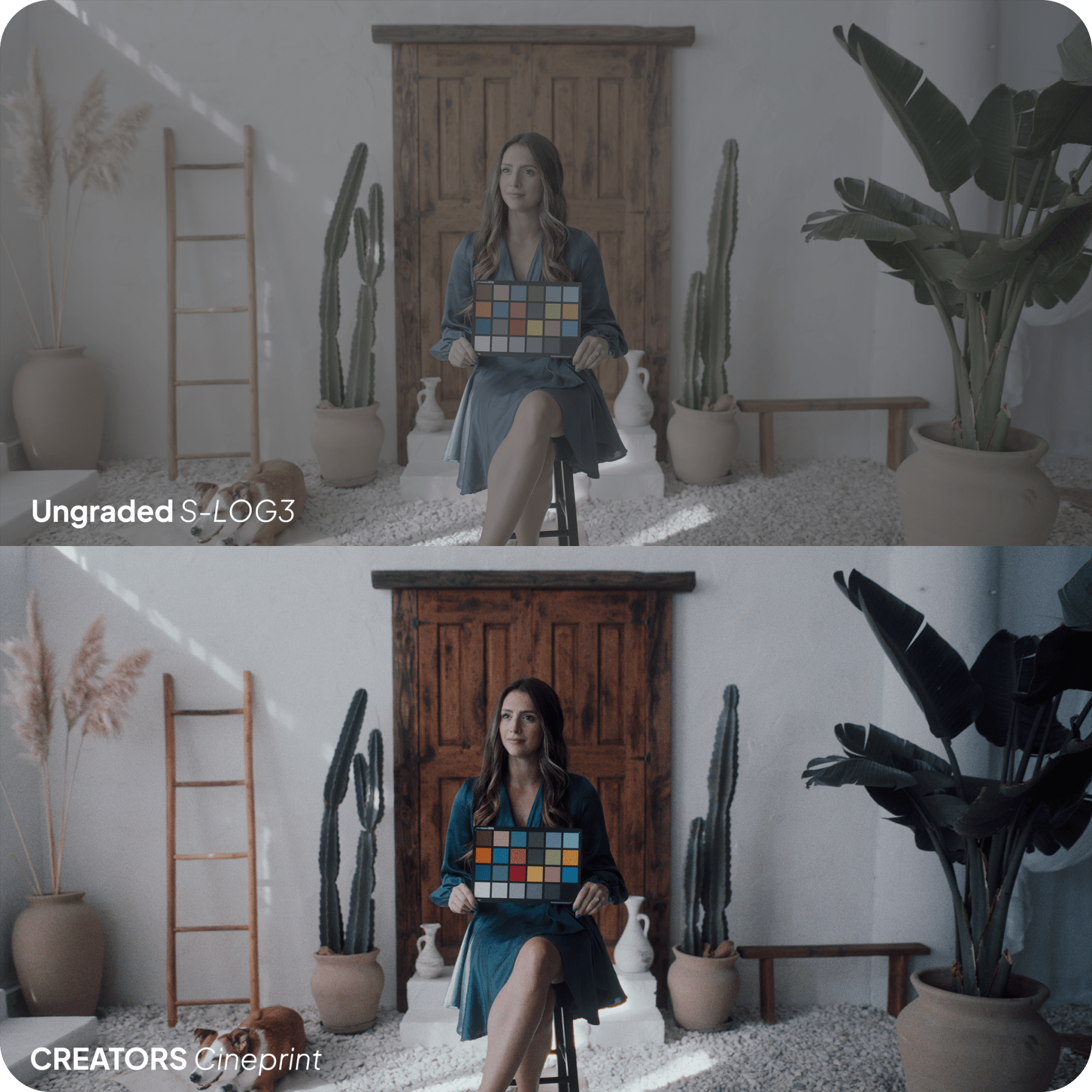 Creators CinePrint Powergrade by LOGRO (+LUTs) - strapnstyles